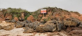 Enlarge photo 271