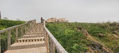 Enlarge photo 272