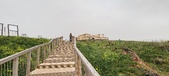 Enlarge photo 273