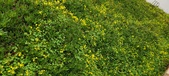Enlarge photo 274
