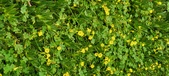 Enlarge photo 275