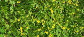 Enlarge photo 276