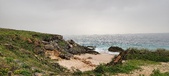 Enlarge photo 278