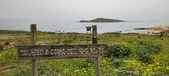 Enlarge photo 288