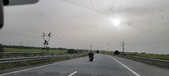 Enlarge photo 335