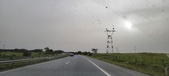 Enlarge photo 336
