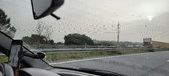 Enlarge photo 343