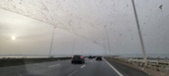 Enlarge photo 354