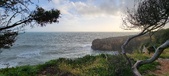 Enlarge photo 62