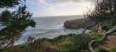 Enlarge photo 63