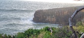 Enlarge photo 65