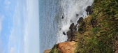 Enlarge photo 74