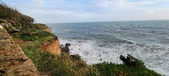 Enlarge photo 76
