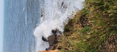 Enlarge photo 79