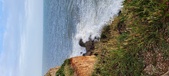 Enlarge photo 80