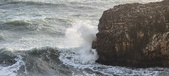 Enlarge photo 83