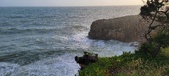 Enlarge photo 87