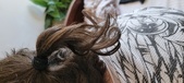 Enlarge photo 91