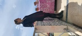 Enlarge photo 49