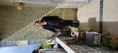 Enlarge photo 61