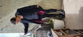 Enlarge photo 67