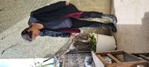 Enlarge photo 68