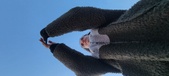 Enlarge photo 59