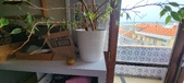 Enlarge photo 73