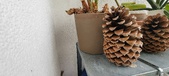 Enlarge photo 79