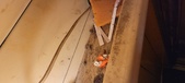 Enlarge photo 81