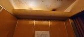 Enlarge photo 83