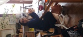 Enlarge photo 95