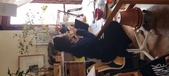 Enlarge photo 98