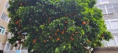 Enlarge photo 101