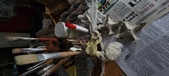 Enlarge photo 132