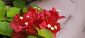 Enlarge photo 178