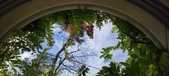 Enlarge photo 181