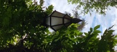 Enlarge photo 184