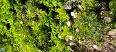 Enlarge photo 197