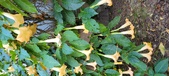 Enlarge photo 196