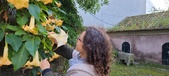 Enlarge photo 199
