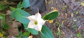 Enlarge photo 203