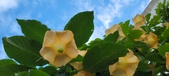 Enlarge photo 214
