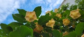 Enlarge photo 215