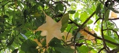 Enlarge photo 218