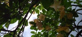 Enlarge photo 224