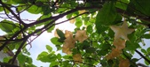 Enlarge photo 223