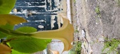 Enlarge photo 232