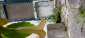 Enlarge photo 236