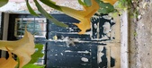 Enlarge photo 235